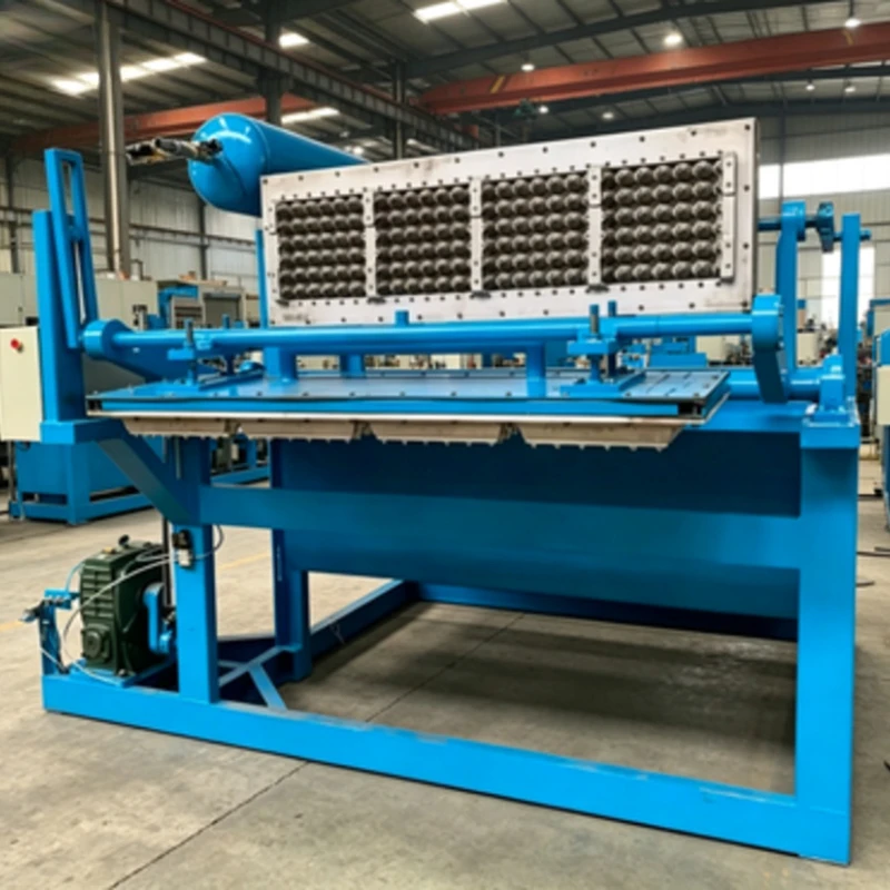 Fully Automatic Egg Tray Forming Machine High Output Production System