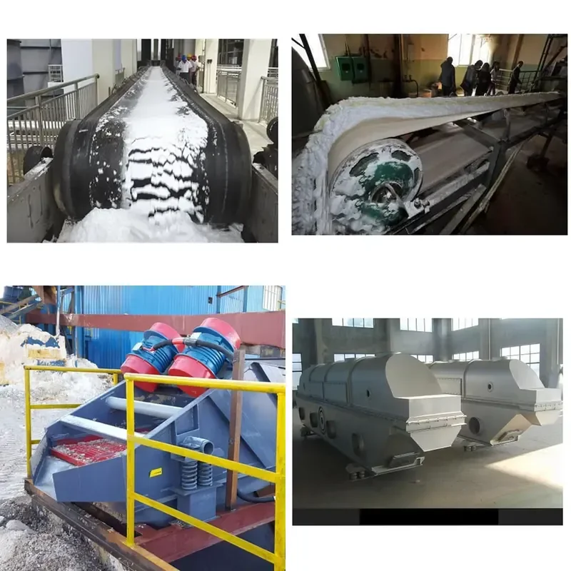 2026 CE Iodized Sea Salt Production Line Refinery Plant Crude Rock Salt Refining Machine Lake Salt Crushing Washing Drying