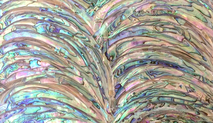 Abalone shell veneer sheet paua slice inlay 240x140x0.2mm B04