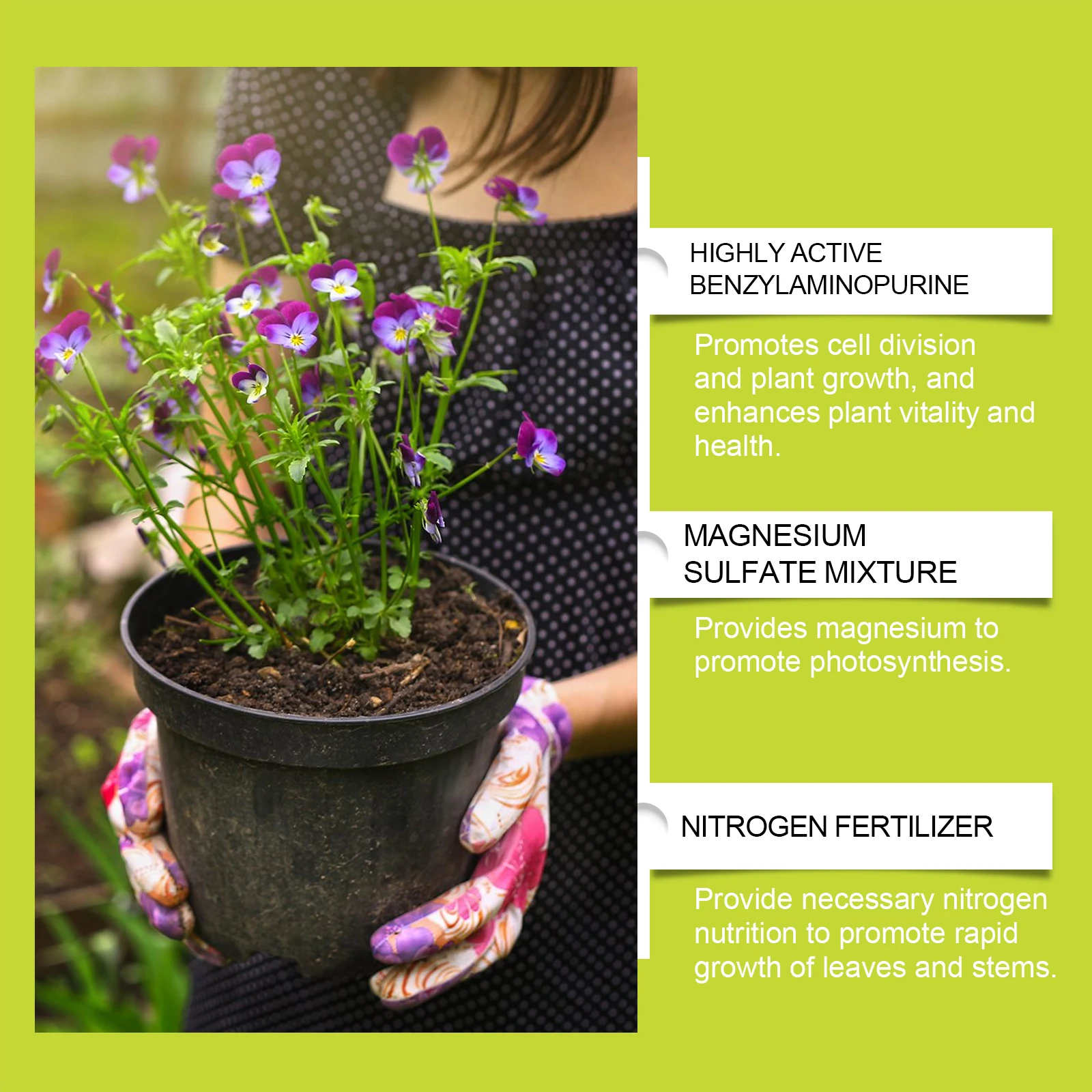 Pflanzenwachstumsflüssigkeit,  – Aquarium Plant Liquid Fertilizer Bewertung und Preis