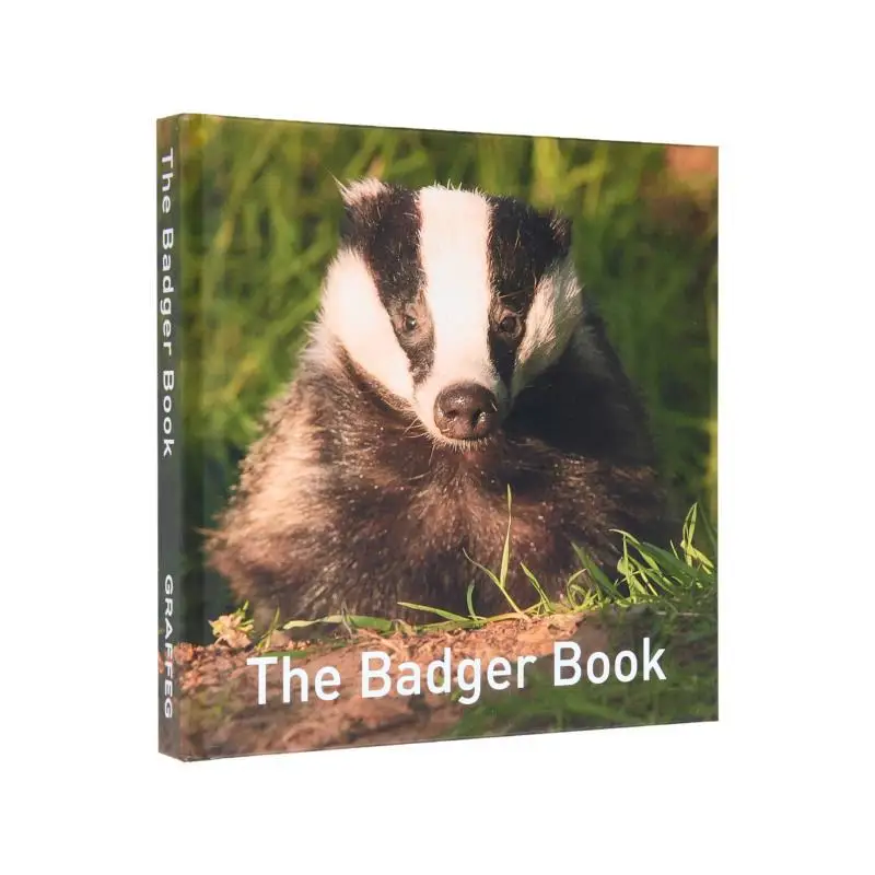 

The Badger Books Jo Byrne Graffeg Books 9781913634209 Book
