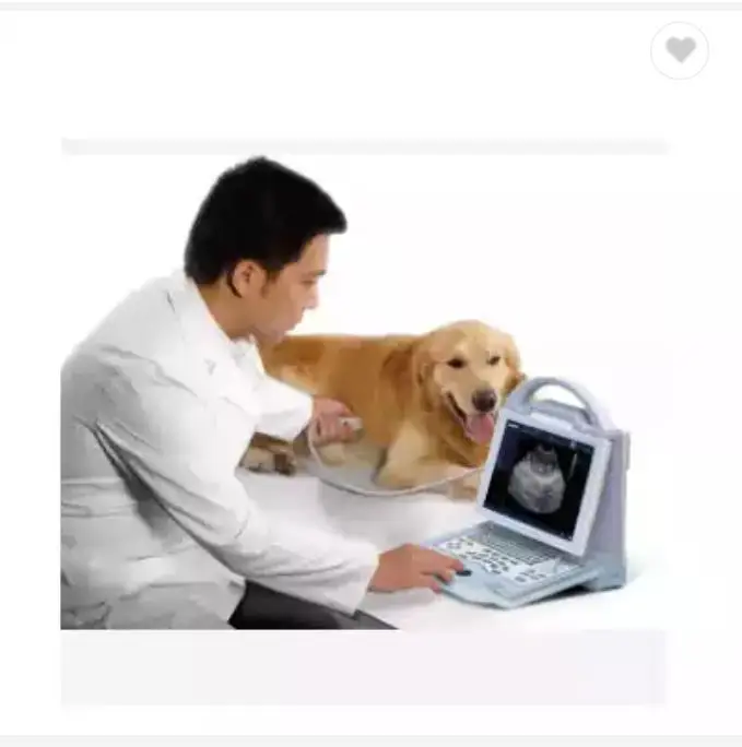 

china best portable ultrasound machine color doppler veterinary ultrasound portable HF-KX5600