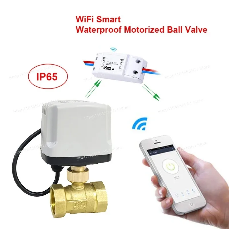 Tuya WiFi Smart Waterproof Brass Ball Valve, 220V Electric Switch with App/Timer Control, Alexa & Google Home Compatible