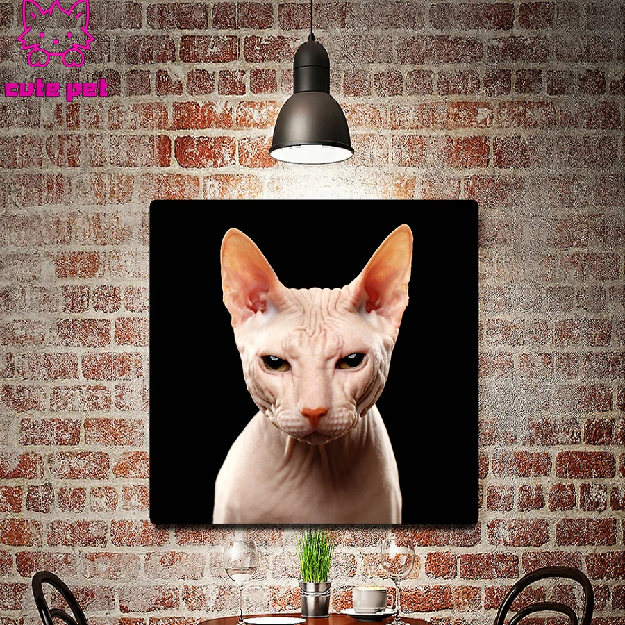 full Round square Diamond Painting Animal hairless cat 5D Diamond Mosaic DIY Cross Stitch Kit Diamonds Embroidery Home Decor