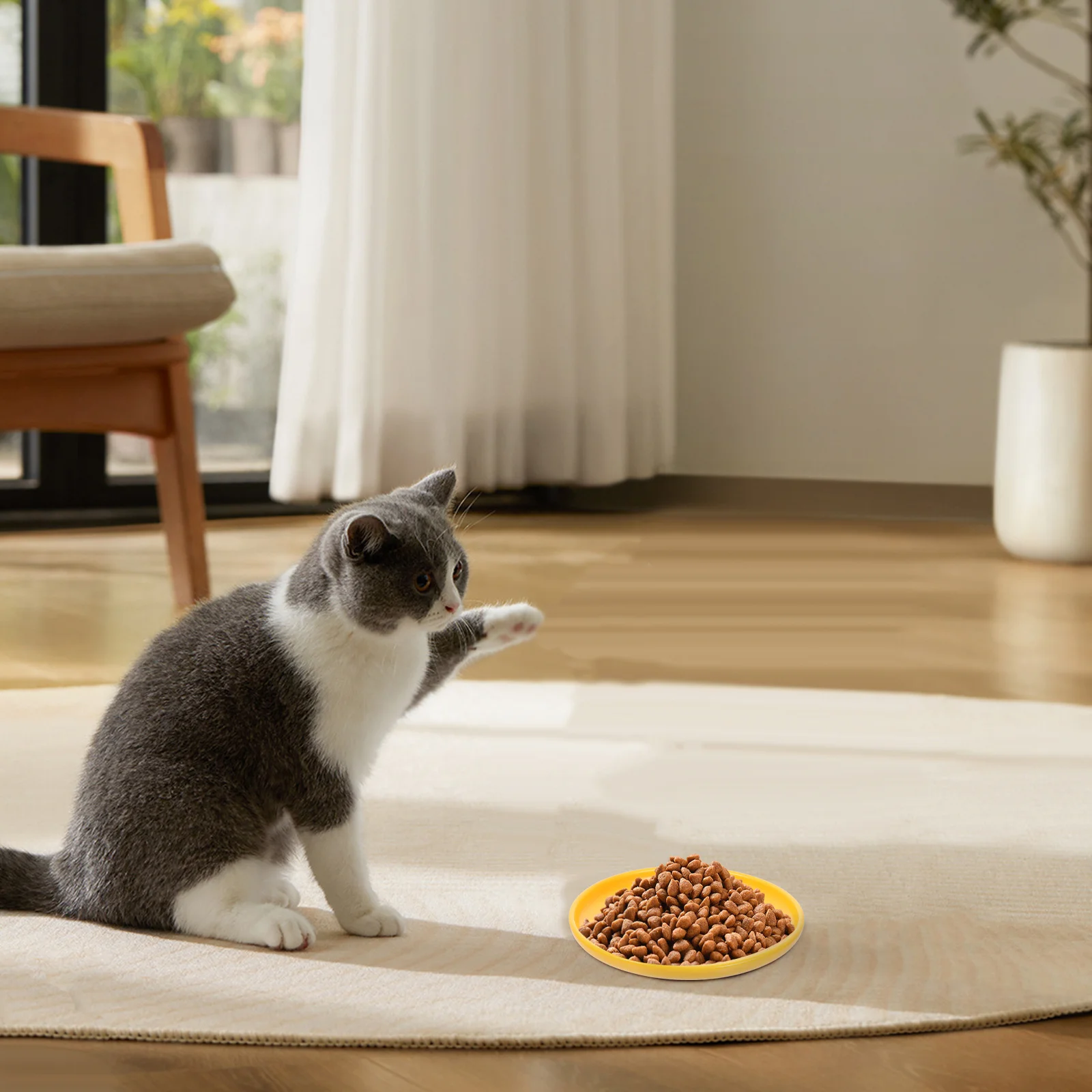 

Ceramic Cat Bowl Durable Safe Easy Clean Pet Feeding Dish Large Capacity Smooth Design Kitten Round Plate Cat Bowls