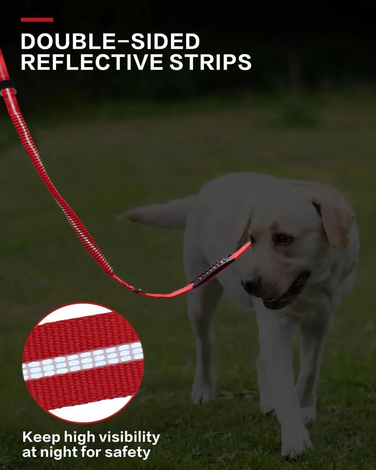 Thumbnail 4 - #62 Cheapest Dog Leads Deals You Can Get