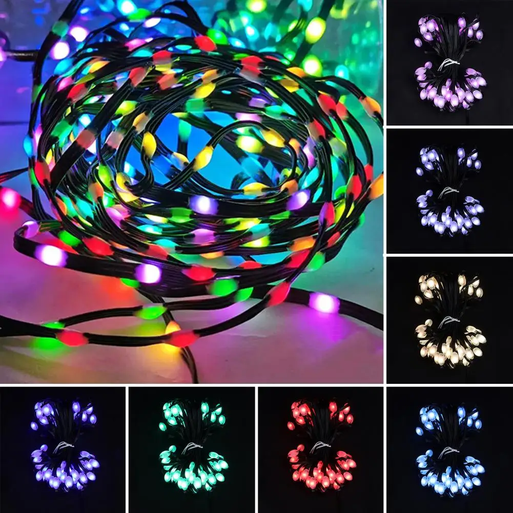 

Pvc Flame Light Strips Waterproof Led String Lights with Safe Voltage for Indoor Outdoor Use Flexible Bendable for Easy for A