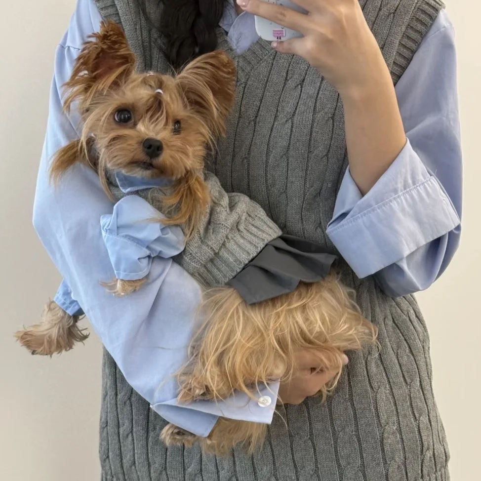 

High-End Elegant Lady-Style Twisted Pet Sweater Brand Style Dog Knitted Sweater