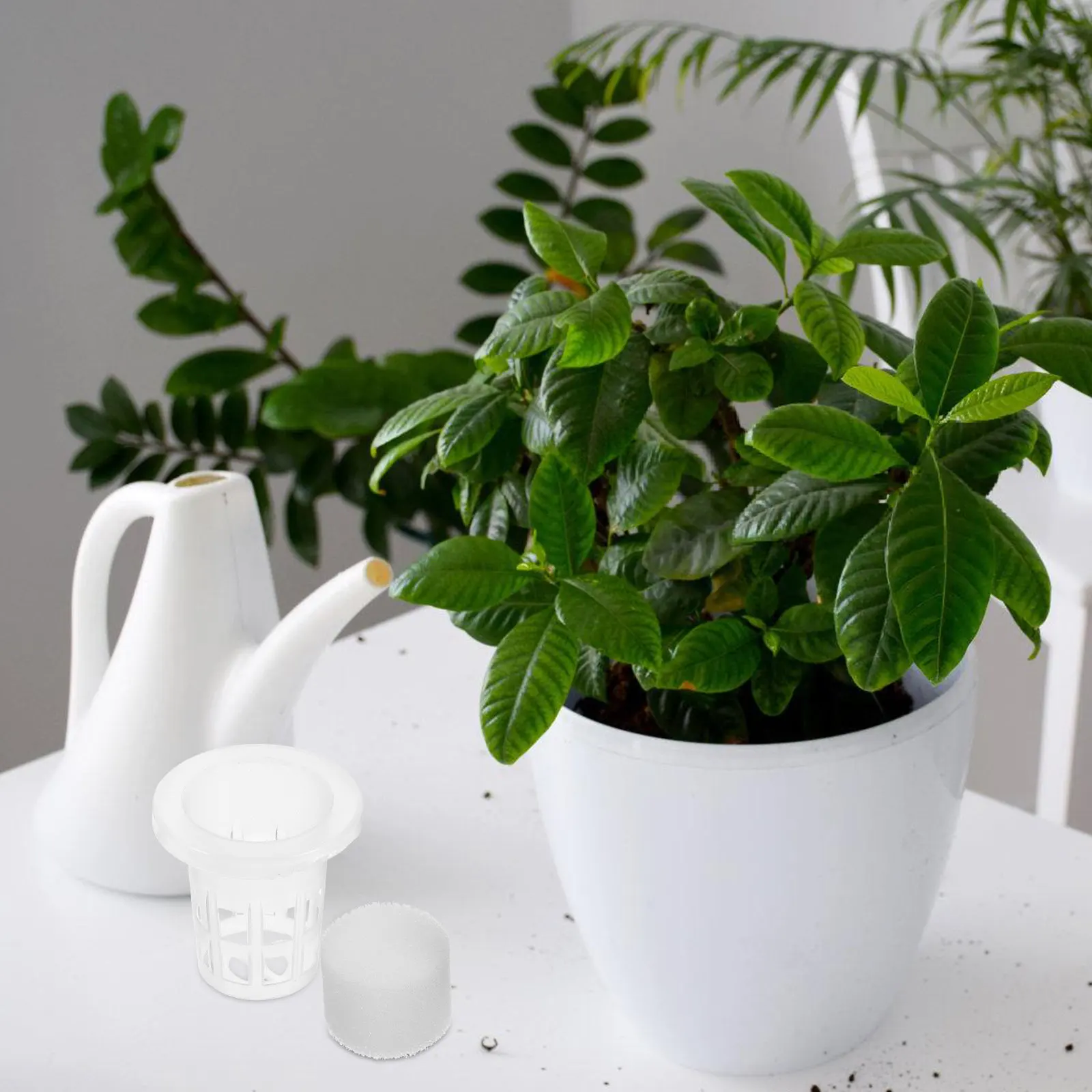 50 Sets Black 25 Hydroponic Baskets Sponge for Garden Balcony Flower Nursery Net Cups Plant Pots Plastic Containers