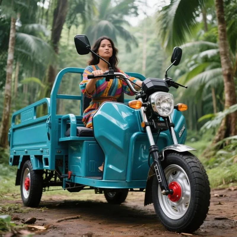 Mountain Area High Climbing Electric Cargo Tricycle, 3 Wheel Electric Freight Truck, Rural Short Distance Transport