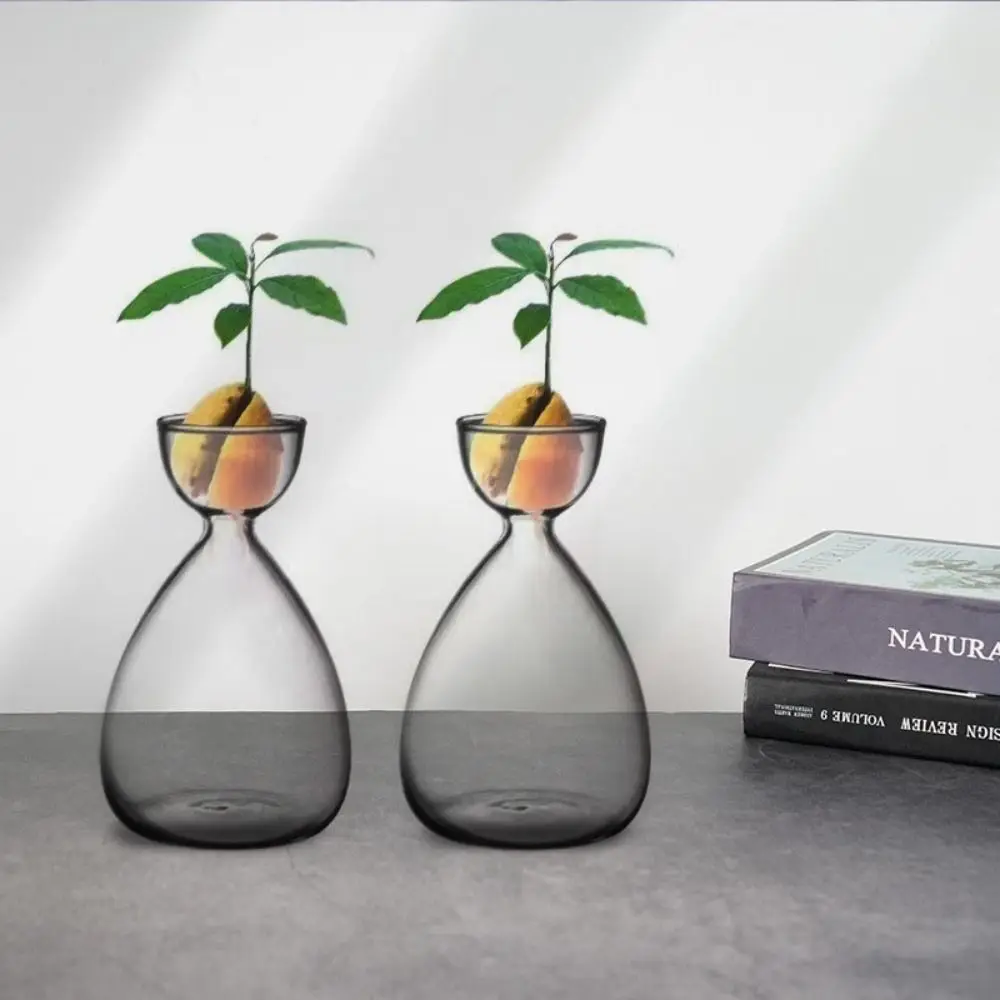 Small Avocado Planting Vase Heat-resistant Simple Avocado Hydroponic Bottle Exquisite Transparent Breeding Container Balcony