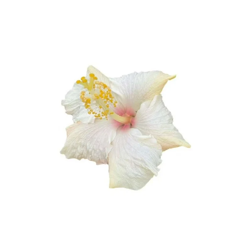 

Форсунка-распылитель Fire Jet G3S93 для инжектора Common Rail G3S93, артикулы 095000-1550, 8-98259290-0, 095000-2900