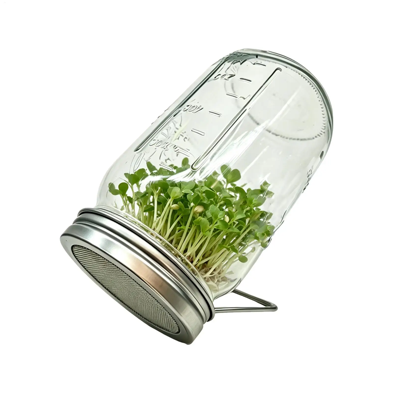 Broccoli Sprouts Growing Kit Wide Mouth Stackable Clear Glass with Lid Sprouts Growing Jar Kit for Alfalfa Radish Sunflower Home