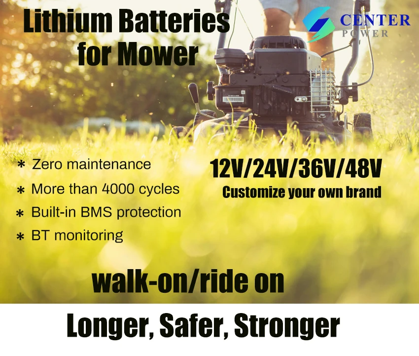 Batterie per tosaerba al litio 202512V 24V 36V 48V Batterie per prato e giardino
