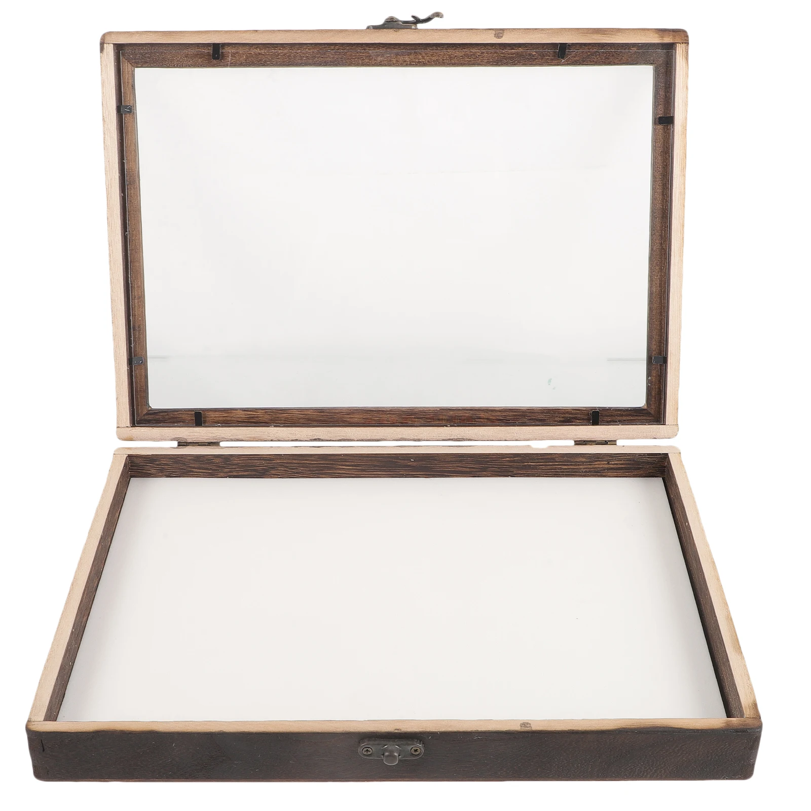 

Insect Display Box Specimens Clear Case Entomology Collector Butterfly Insects Cases for Bugs Collection