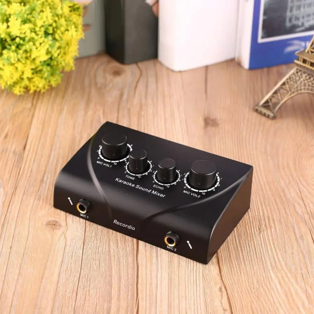 Microphone Preamp Mic Gain Booster Portable Karaoke Sound Audio Stereo Echo Mixer Dual Microphone Inputs RCA Cable Power Adapter