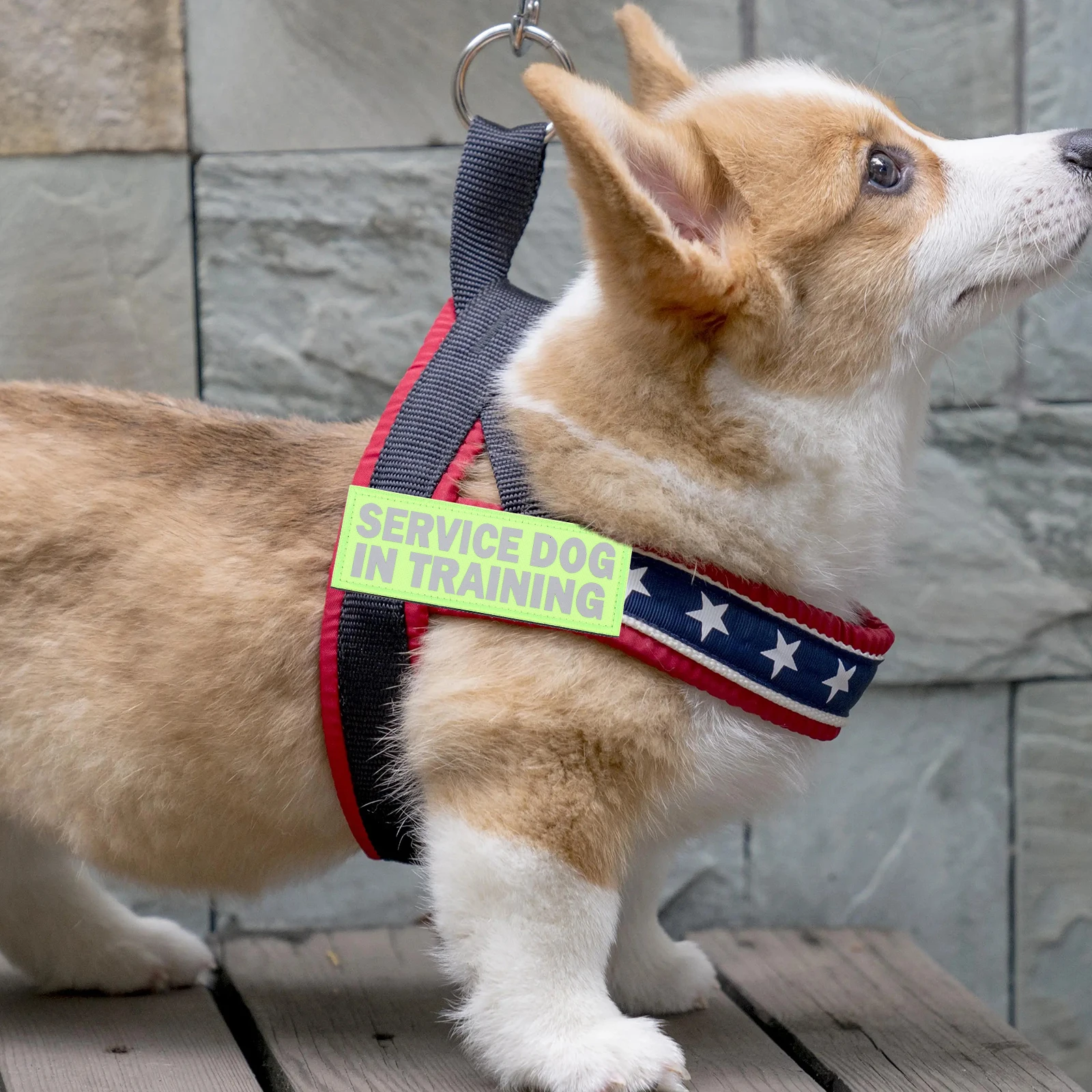 

4pcs Pet Durable Nylon Reflective Service Patch Service Dog Patches Daily Wear Occasions Outdoor Dog Accessory