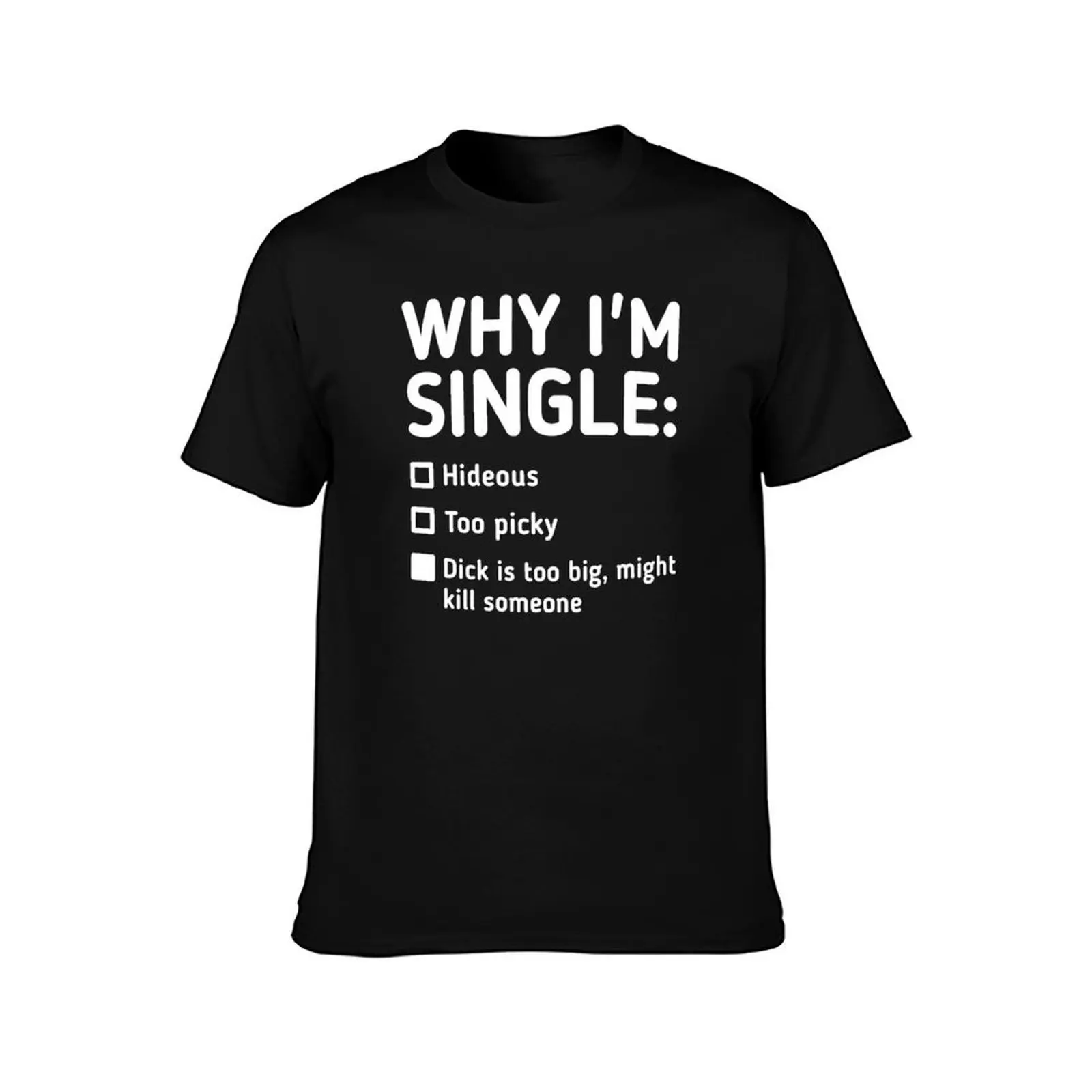 Why i'm single T-Shirt Work Wear Lightweight Tee