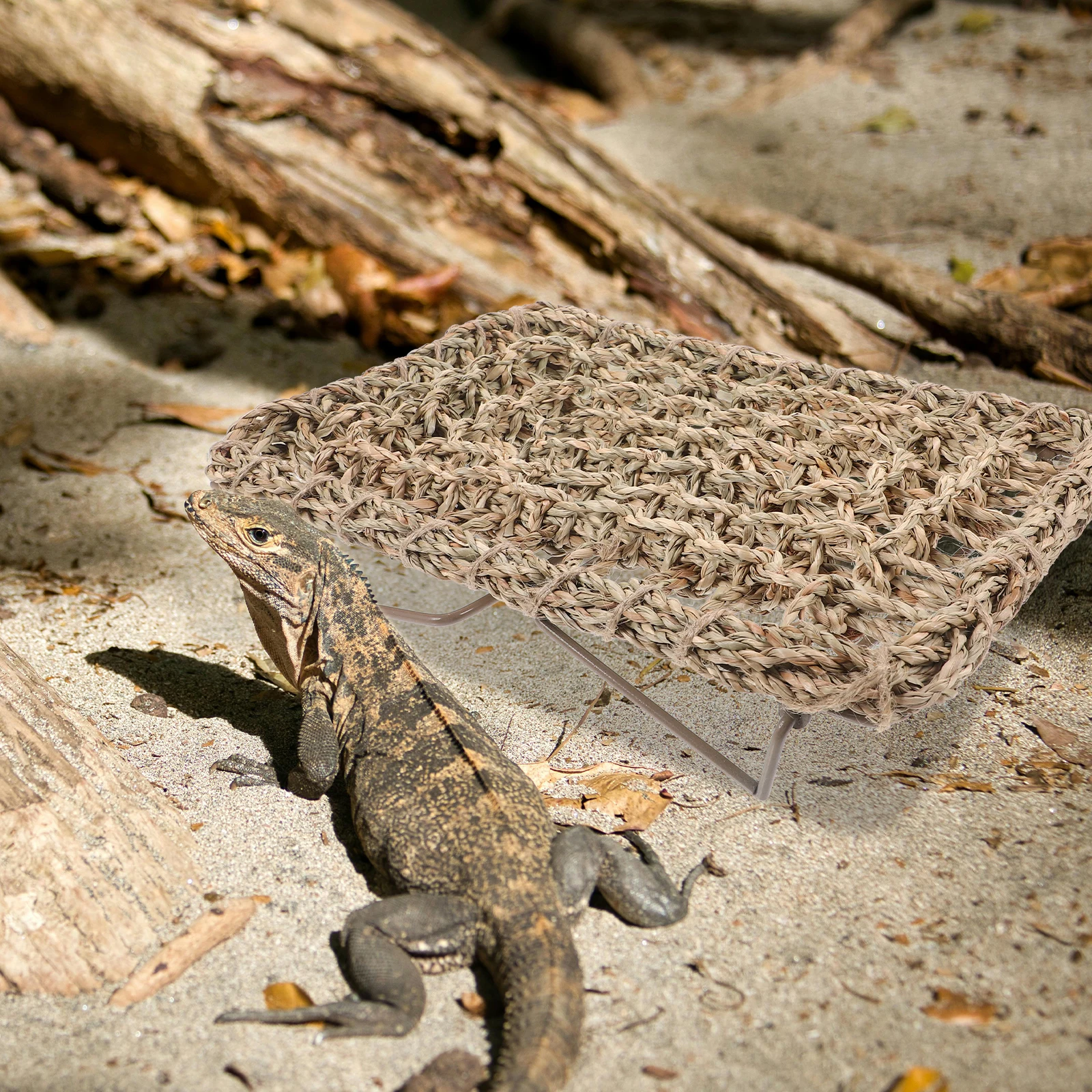 

POPETPOP Lizard Bed Woven Reptile Lounger Iron Frame for Bearded Dragons Geckos Small Reptiles Terrarium Rest Play Accessory