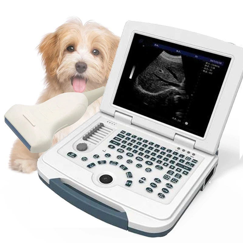 Low Prices Ultrasound For Cats Liver Failure Problems In Cats Diagnostic Pyometra Ascites Kidney Constipation Ultrasound Machine