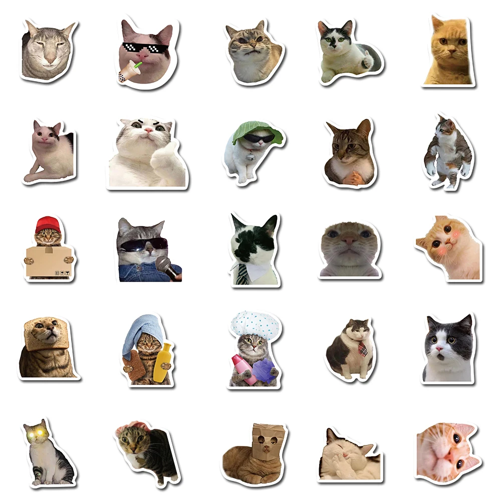 50PCS Cat MEME Funny Animals Stickers Vintage Toy DIY Kids Notebook Luggage Motorcycle Laptop Refrigerator Decals Graffiti