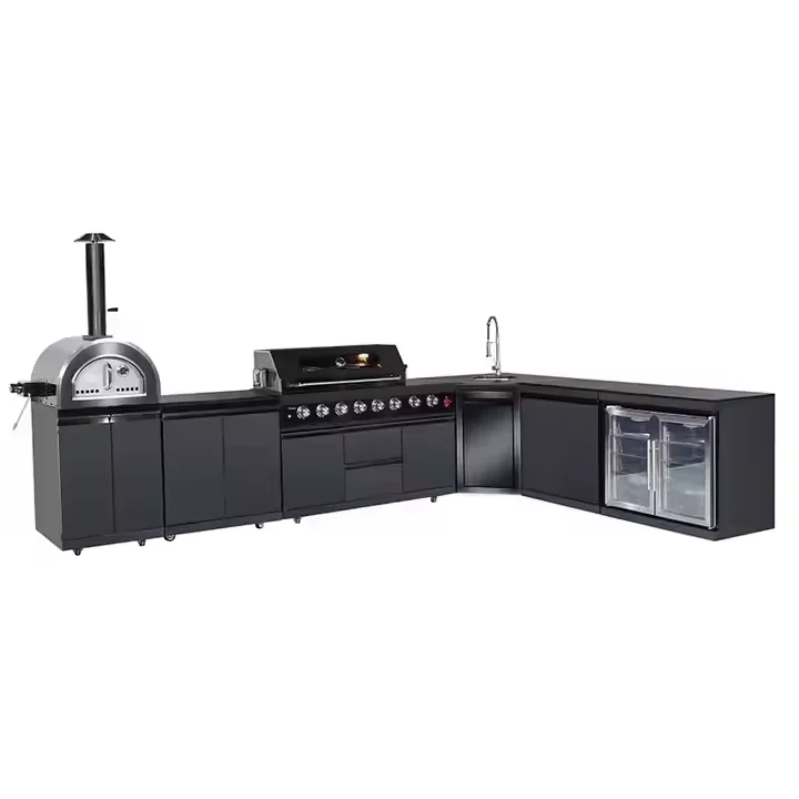 Рисунок 6 - Премиальная интегрированная модульная