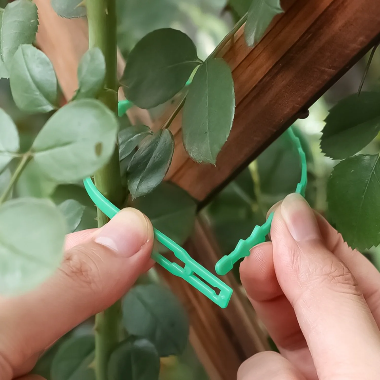 10-600PCS Adjustable Plastic Plant Cable Ties Reusable Cable Ties for Garden Tree Climbing Support Plant Vine Tomato Stem Clip