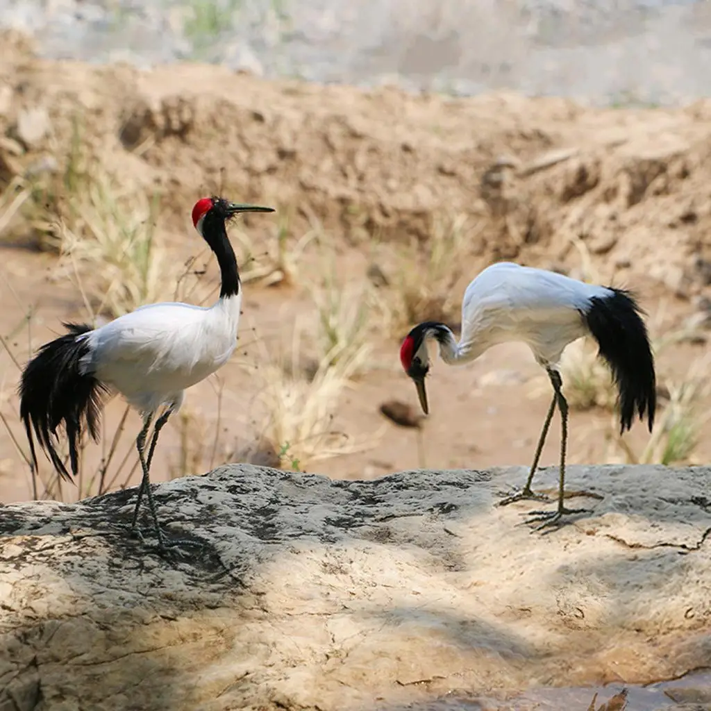 Artificial Red-crowned Crane Birds Figurine Realistic Home Garden Decoration