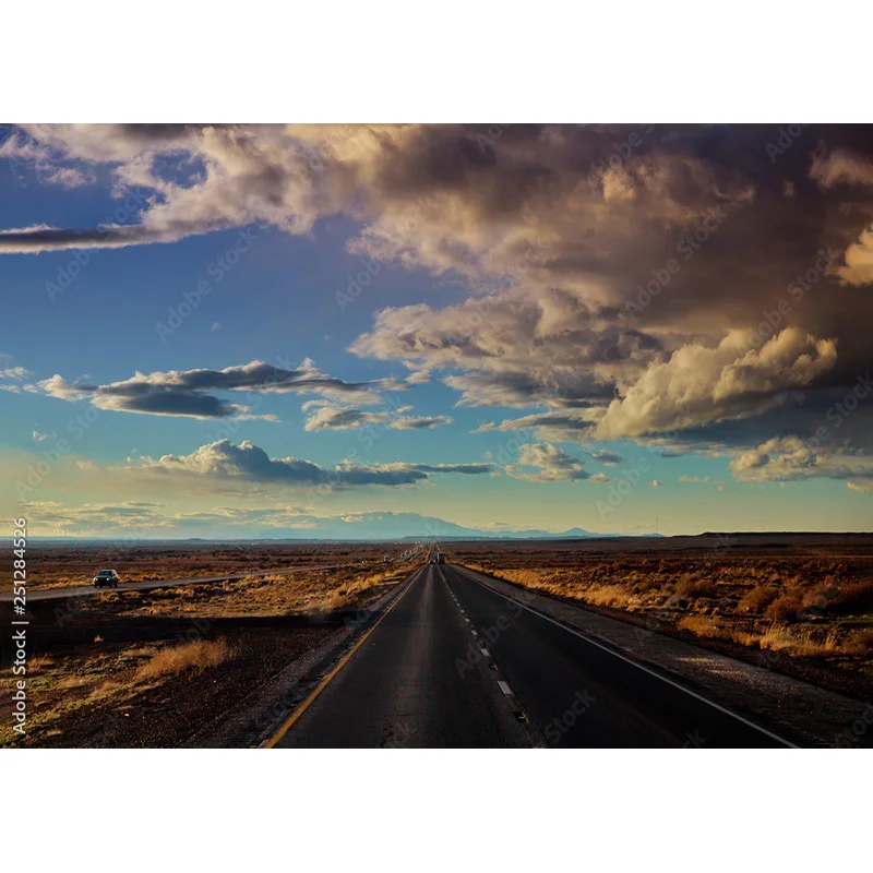 Highway Nature Scenery Photography Backdrops Travel Landscape Photo Backgrounds Studio Props  211228 GLL-06