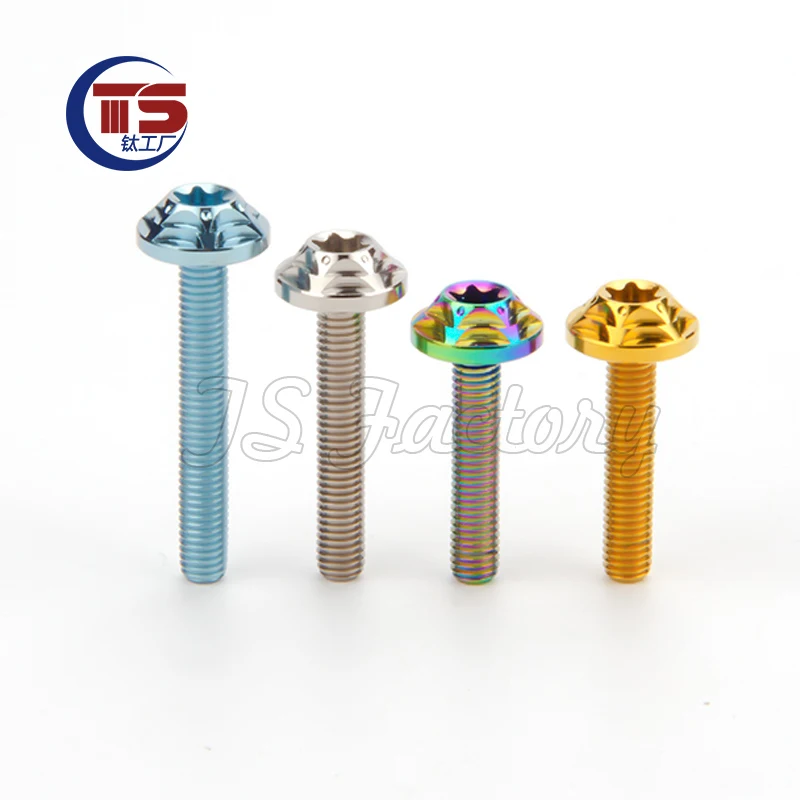 TS 2 and 10pcs titanium factory titanium alloy screws M4X6/8/10/12/15/20/25mm helmet lens screws motorcycle modification  gr5