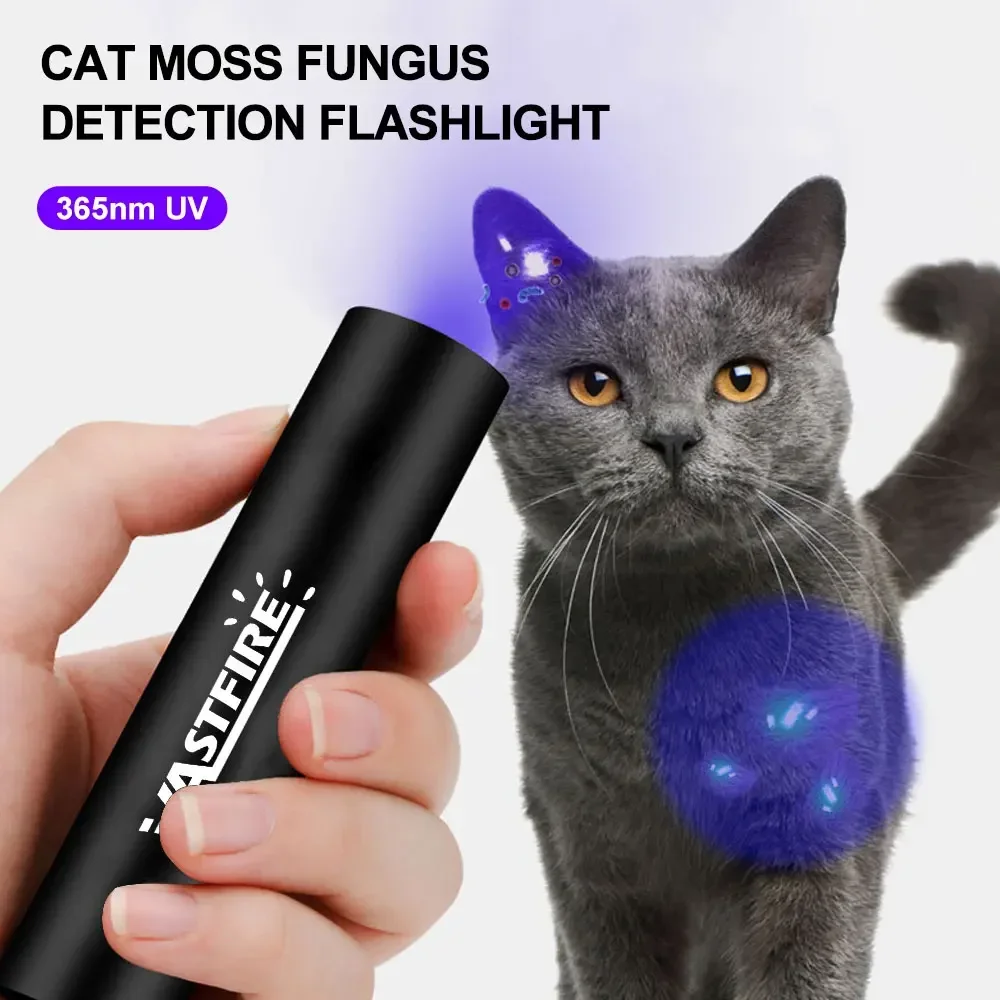 Mini UV LED Flashlight Portable Ultraviolet Black Light for Cat Dog Bed Bug Moldy Food USB Rechargeable Pet Urine Detector Lamp