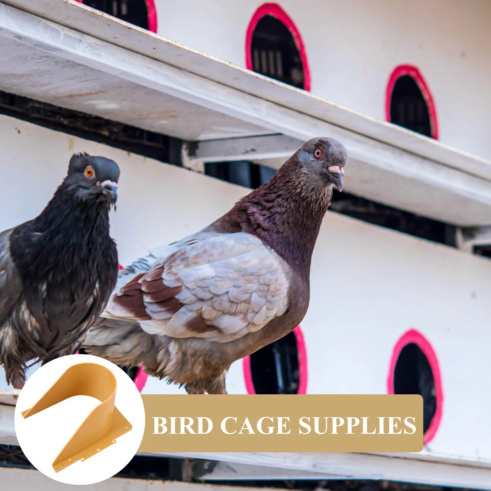 

2Pcs Pigeon Door Racing Supplies Sturdy Plastic European Style Bird Cage Entrance Door for Pigeon House Safety