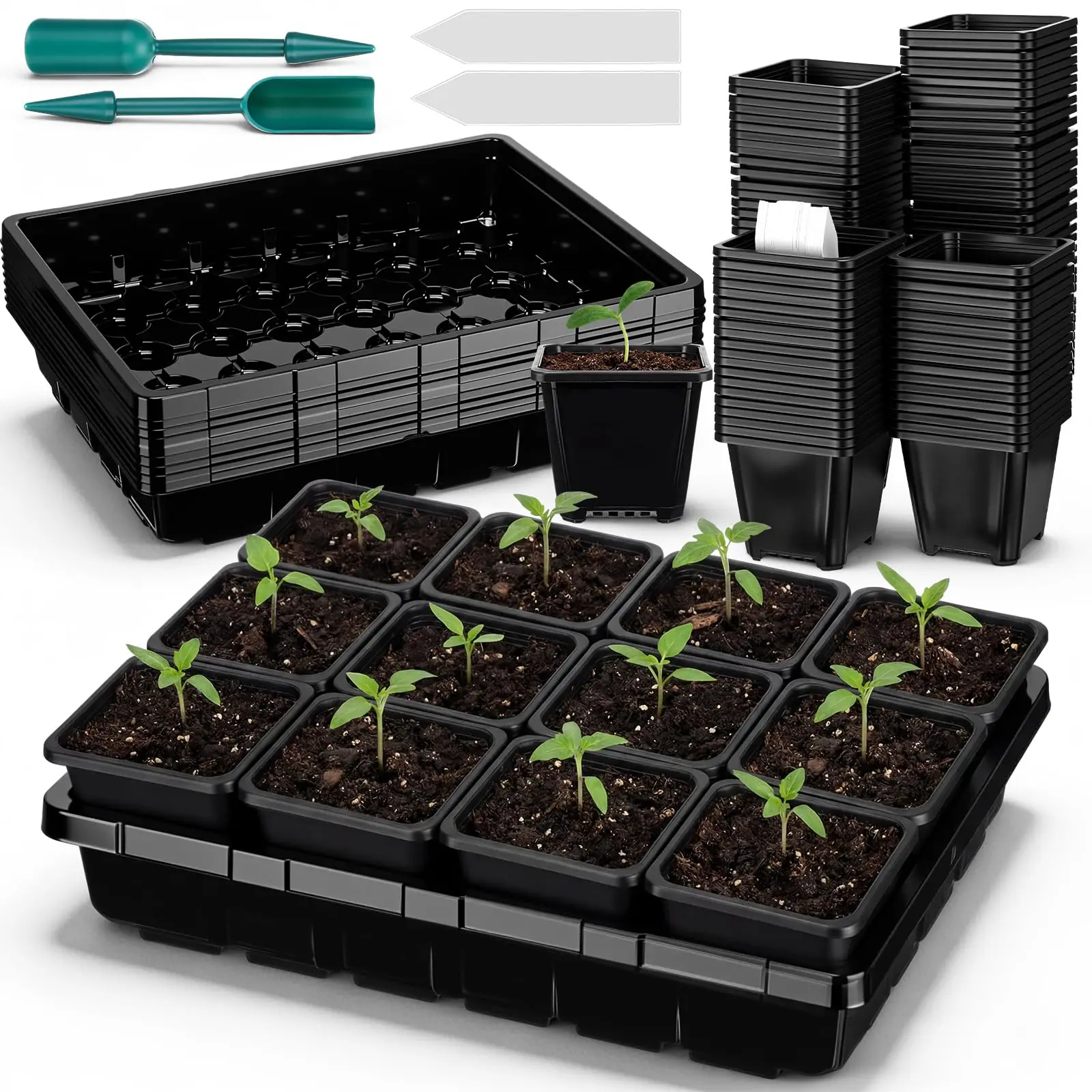 

6-Pack Seedling Tray With 72pcs 3.5Inch Square Pots, Drainage Holes, For Germination And Plant Propagation