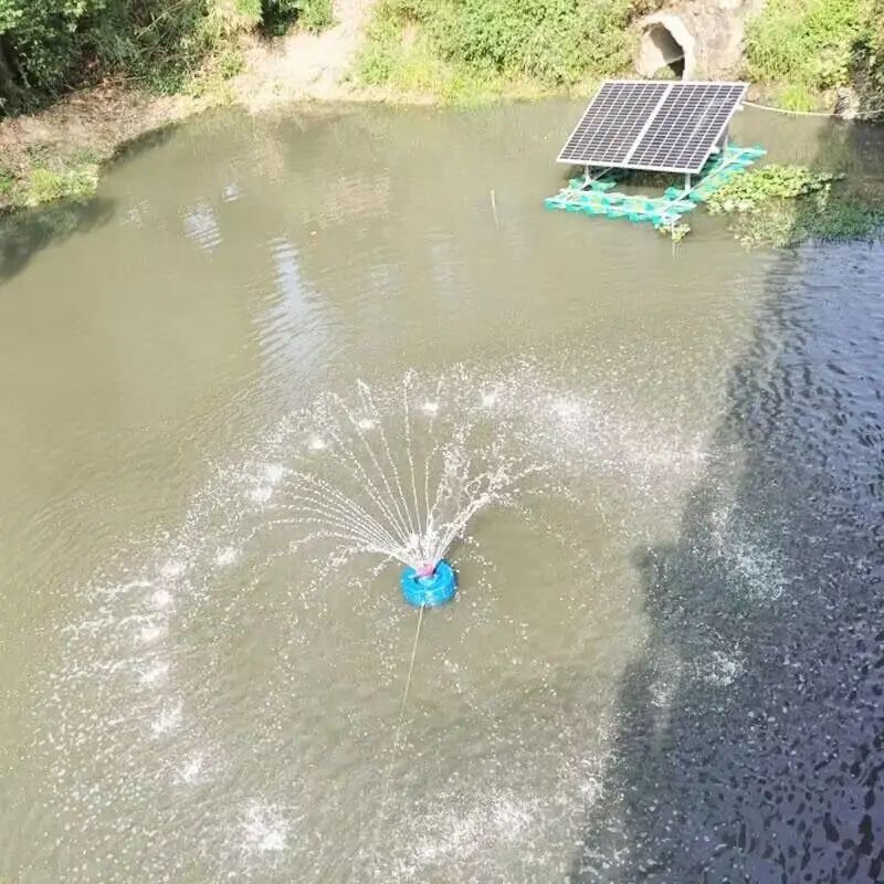 Imagem -05 - sem Escova Solar Peixes Lagoa Aerador Bomba de Drenagem Lagoa de Camarão Bomba de Água Flutuante Bomba de Aeração do Jardim Dc24v48v