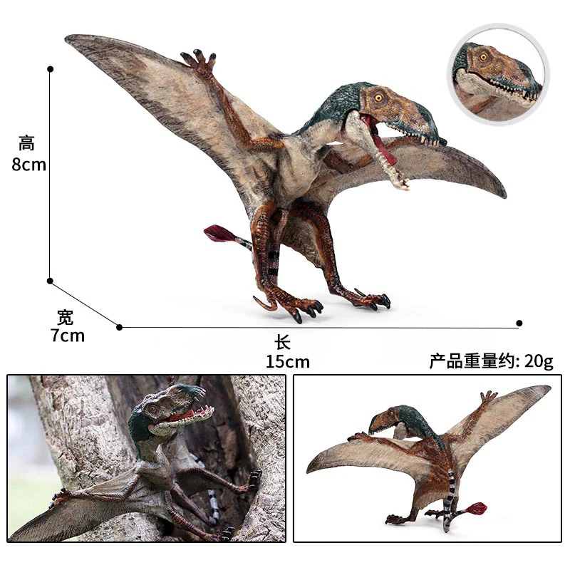 Mô Phỏng Dinosaurio Sinh Học Giáo Dục Pterosaur Allosaurus Mô Hình Khủng Long Dinosaurios Đồ Chơi Cho Trẻ Em Kid Tặng 4-6Y