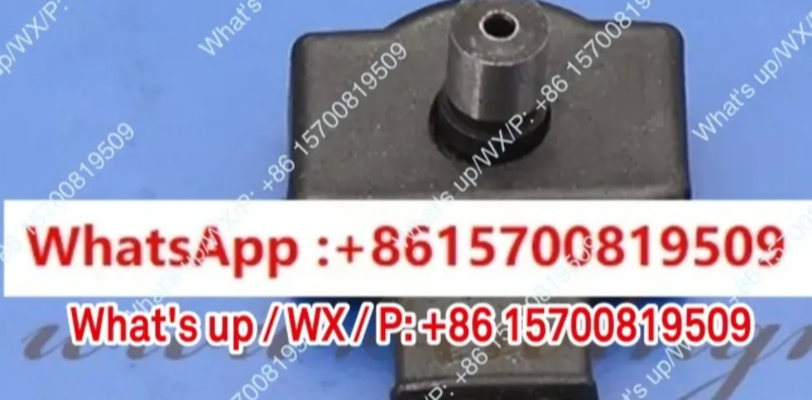 Accessory Models 06…