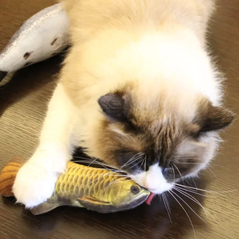 Simulation Fish Cat Toys with Catnip Fish Shape Durable Cat Chew Toys Kitten Interactive Chase Toys Gifts Pet Supplies gatos