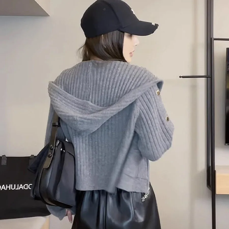 Dubbele Rits Korte Gebreide Vest Met Capuchon Voor Vrouwen Nieuwe Losse Knop Ontwerp Luie Stijl Mode Grijze Trui Jas Top