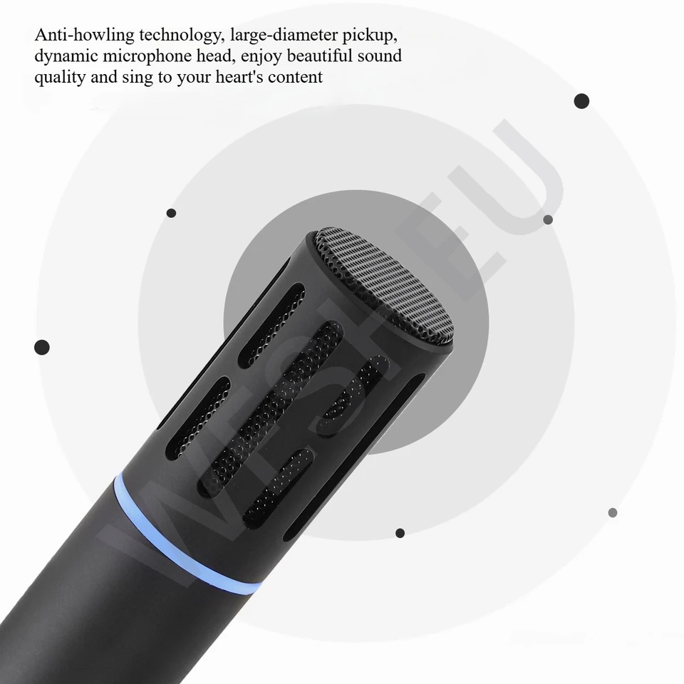 テスラ用カラオケマイク USB-Cドングル付き