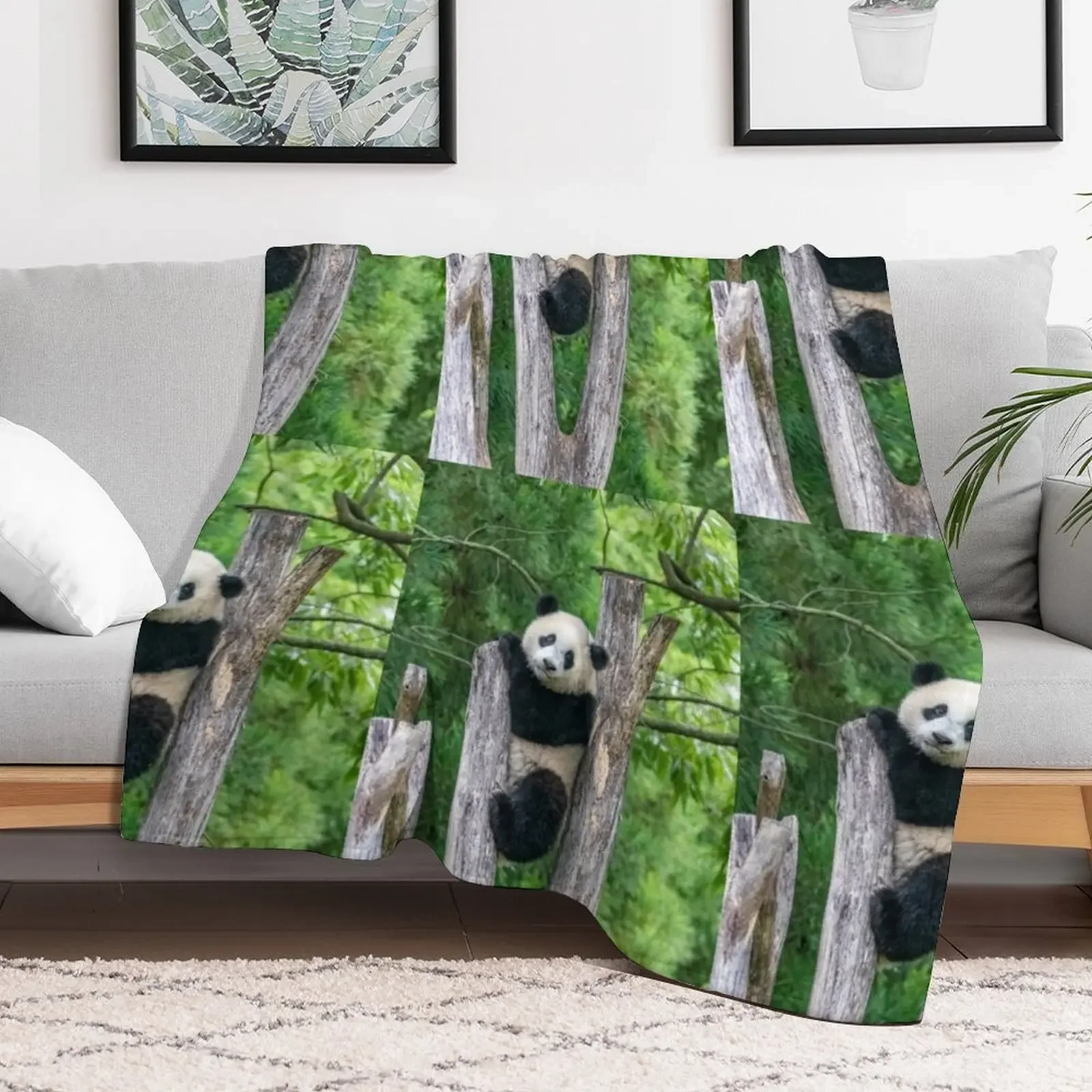 Giant Panda Xiao Qi Ji at the Smithsonian's National Zoo Throw Blanket Multi Purpose Soft Warm Blanket for Home Travel