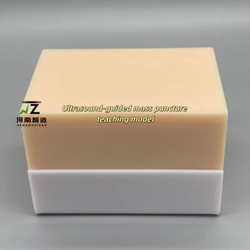 Ultrasound-guided Mass Puncture Teaching Model (skin Color)
