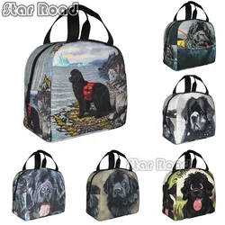 Borsa per il pranzo isolata per cani Newfoundland per le donne amanti dei cuccioli di animali portatili Cooler Thermal Lunch Tote Office Work School