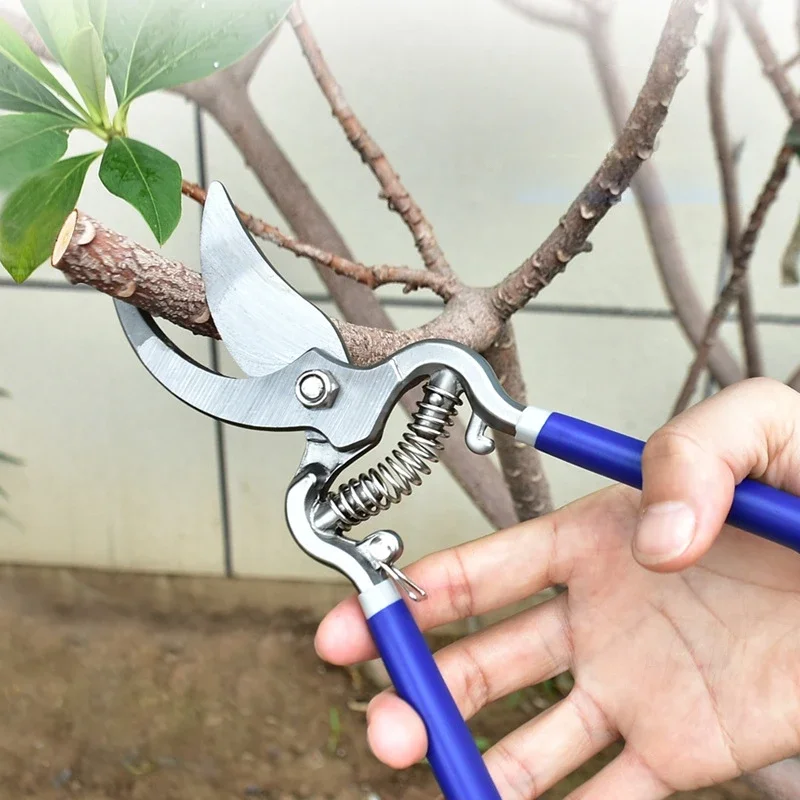 

Professional Horticultural Pruning Shears Manual Effort-Saving Plant Flower Branch Fruit Tree, Lawn Trimming Tool Sharp Scissors