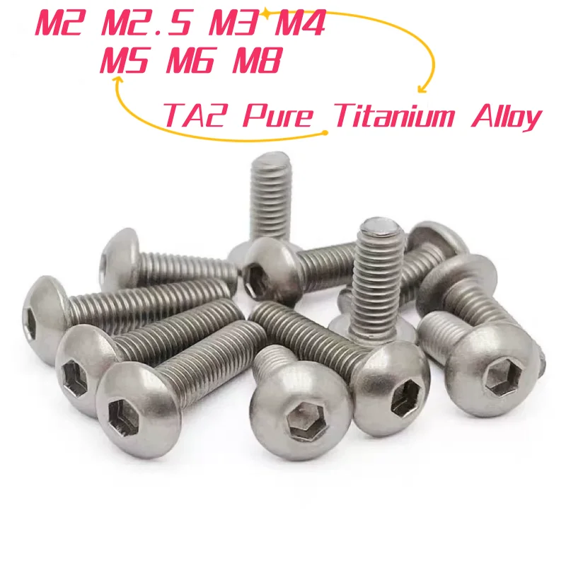 TA2 Pure Titanium Alloy M2 M2.5 M3 M4 M5 M6 M8 Button Head Screw Hexagon Socket Pan Round Head Screws Allan Bolt