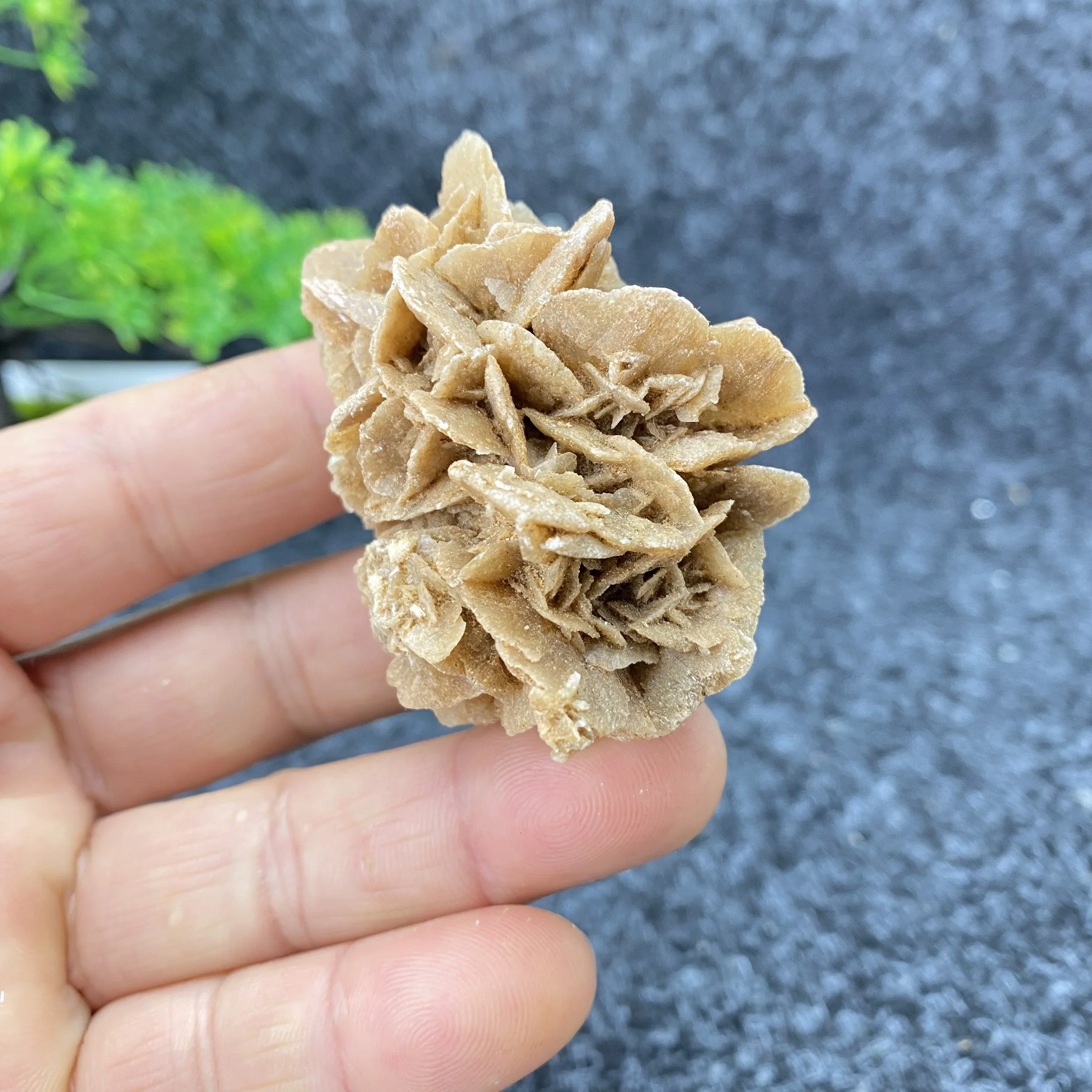 Natural Desert Rose Mineral Funny Raw Materials Crystal Stone Strange Stone Ornaments Bring Good Luck Home Decoration Feng Shui