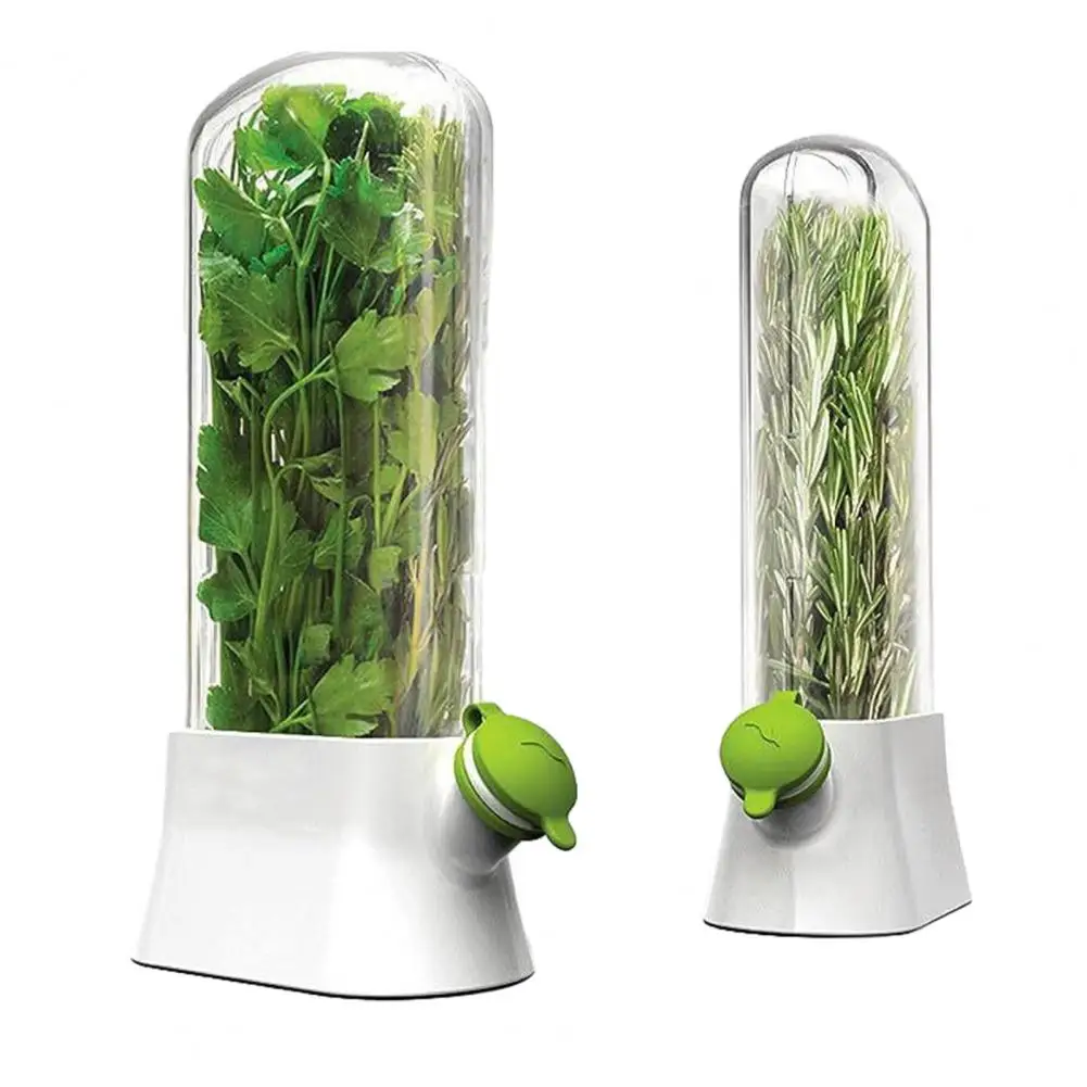 Parsley Container Refrigerator Herb Storage Box Upright Cilantro Parsley Preservation Container Vegetable Freshness for Green