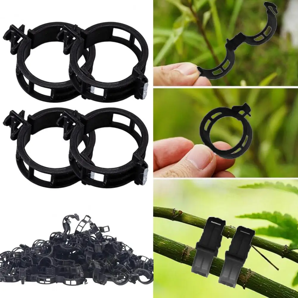 Plant Support Clips…