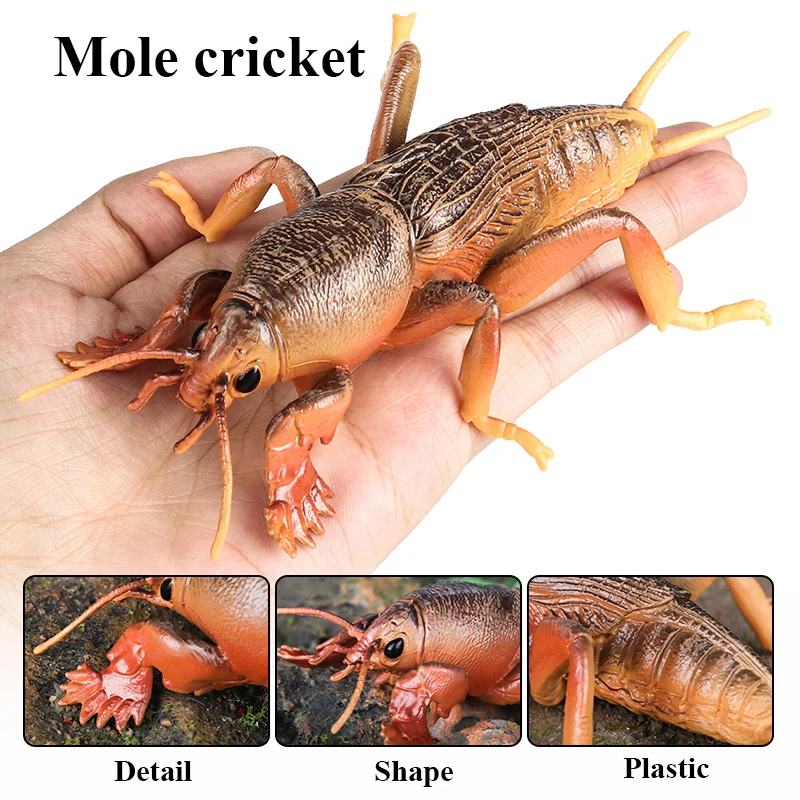 Oenux Insekt Tiere Modell Cricket Zikade Käfer Marienkäfer Action-figuren Figur Pädagogisches Kind Halloween Spielzeug Geschenk