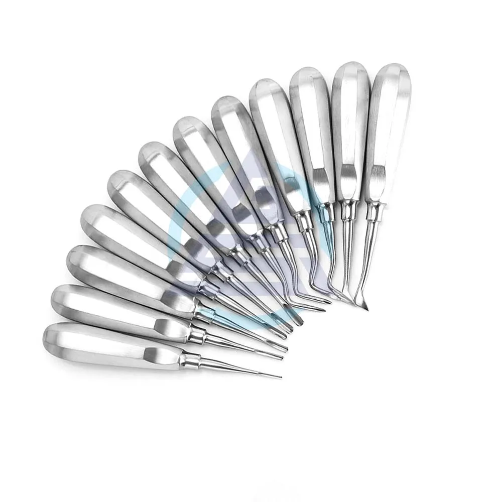 12Pcs Set Elevators Stainless Steel Teeth Extractions Tools Kit Straight Curveds Root Elevators Lab Tools