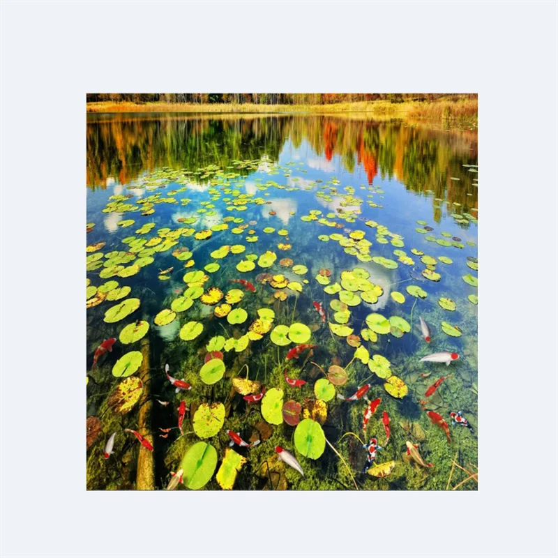 Personality custom flooring 3d wallpaper pond duckweed clear river washroom bedroom 3d thick floor painting Papel de parede обои